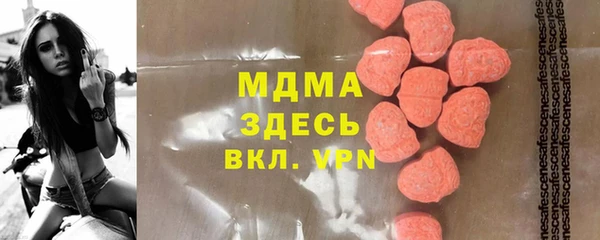 индика Аркадак
