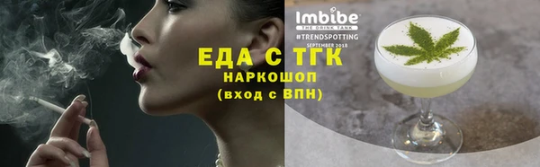 индика Аркадак