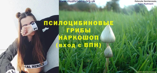 индика Аркадак