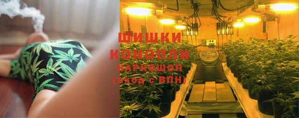 трава Арсеньев