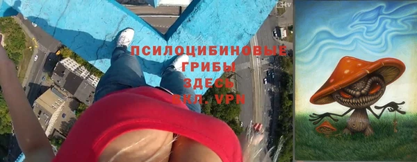 трава Арсеньев